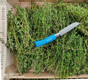 plante médicinale cbd bio recolte
